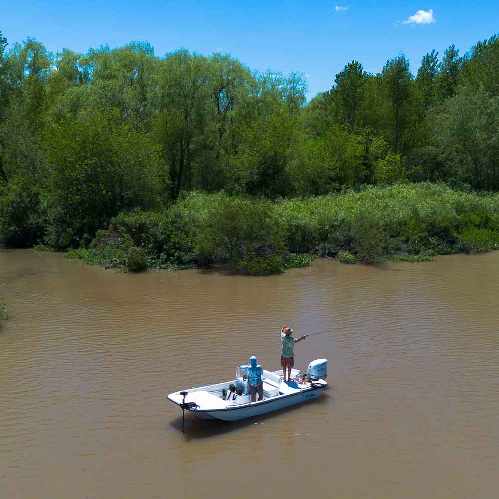Golden Dorado fly fishing Buenos Aires Argentina