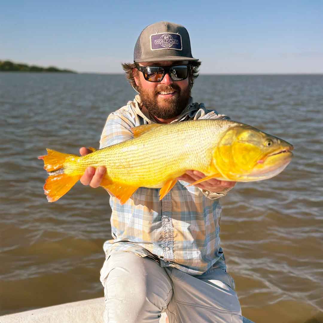 Angler with Golden Dorado catch Buenos Aires