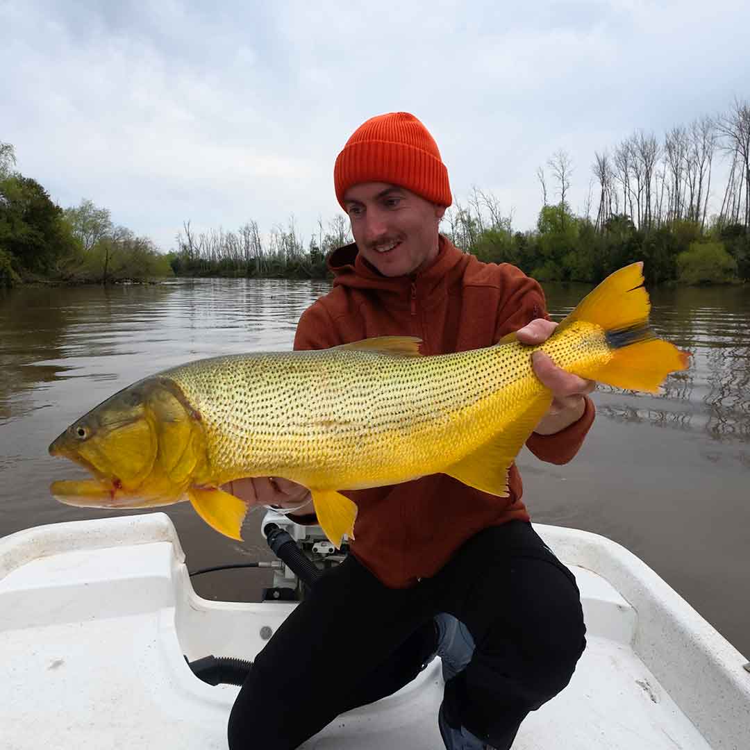 Golden Dorado fly fishing trip