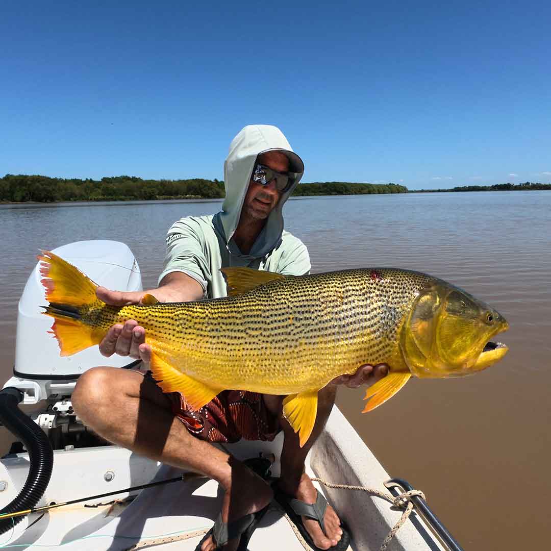 Golden Dorado fishing trip Argentina